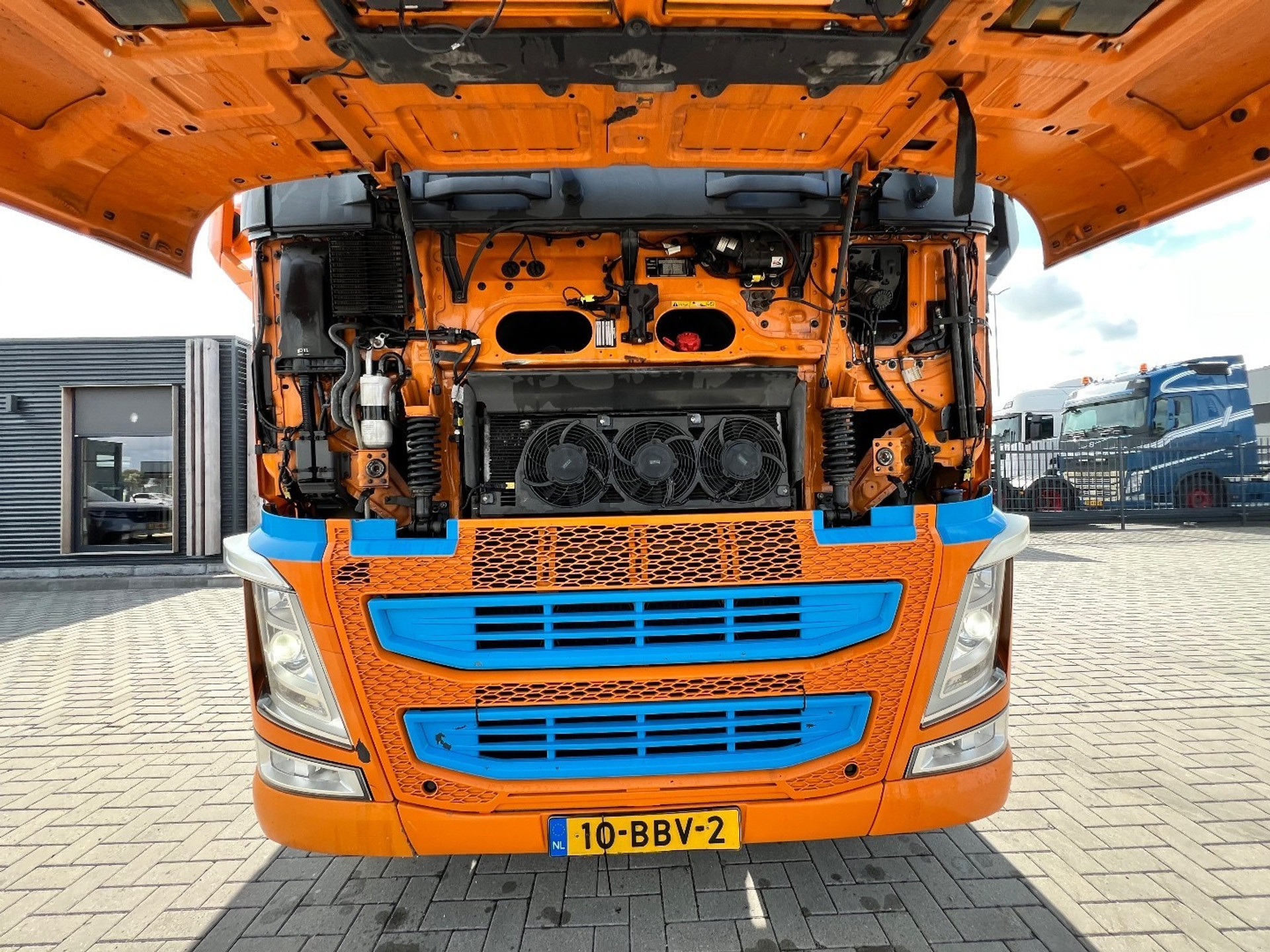 47536311-12.jpg